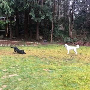 Meet your Posher, Franny